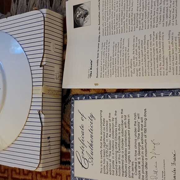 Koala Plate - Picture 5 of 7